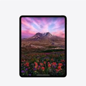 NEW Apple iPad Pro 11” 4th Gen,M2,128GB,A2759,WiFi Factory Sealed Ship Worldwide